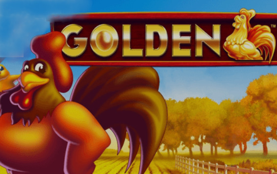 GOLDEN ROOSTER